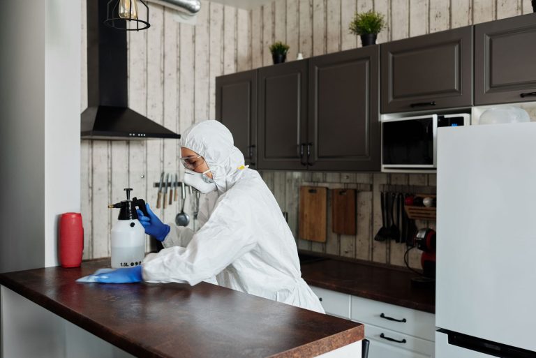 Professional Kitchen Cleaning in Munich: Sparkling Cleanliness That Impresses