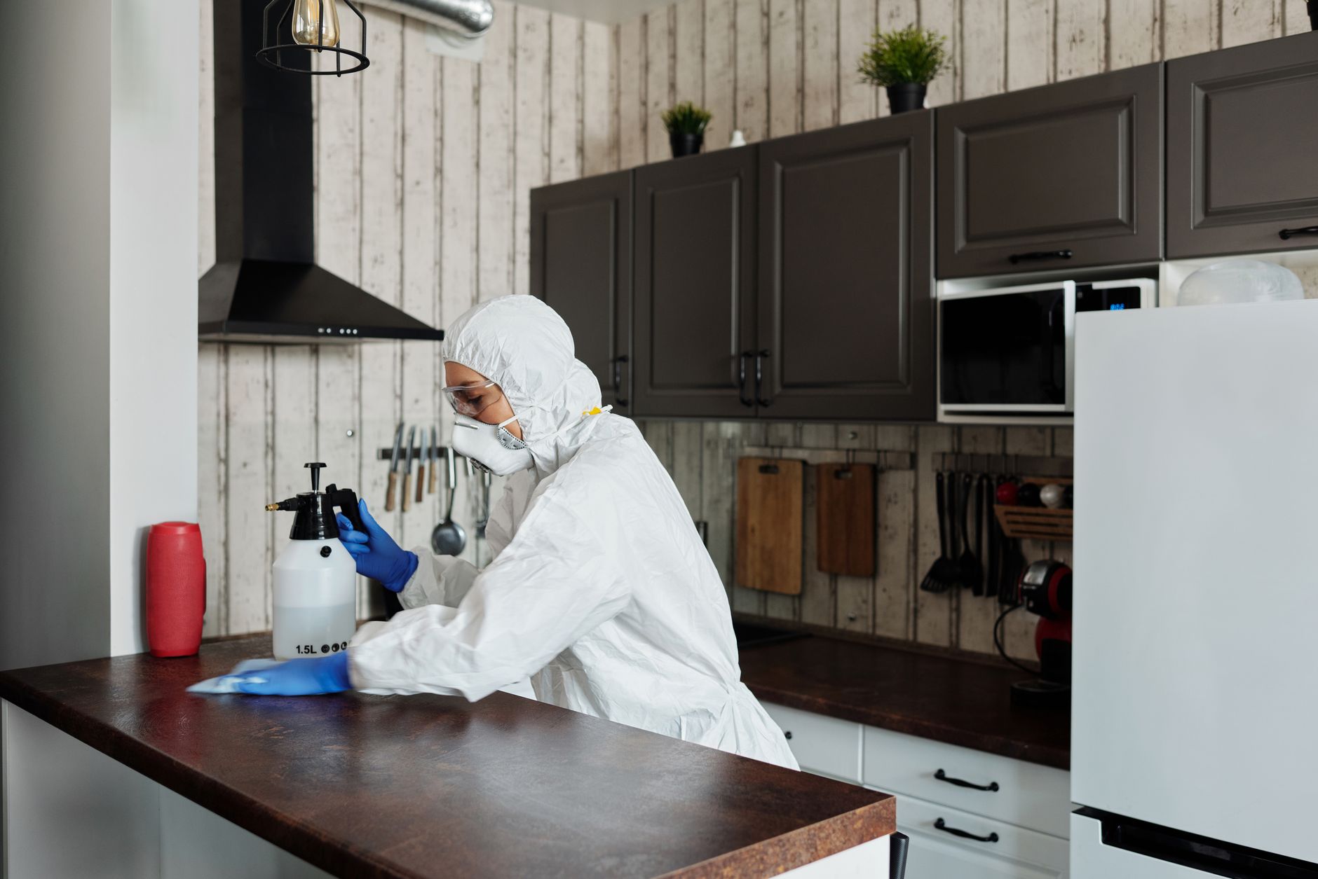 Professional Kitchen Cleaning in Munich: Sparkling Cleanliness That Impresses