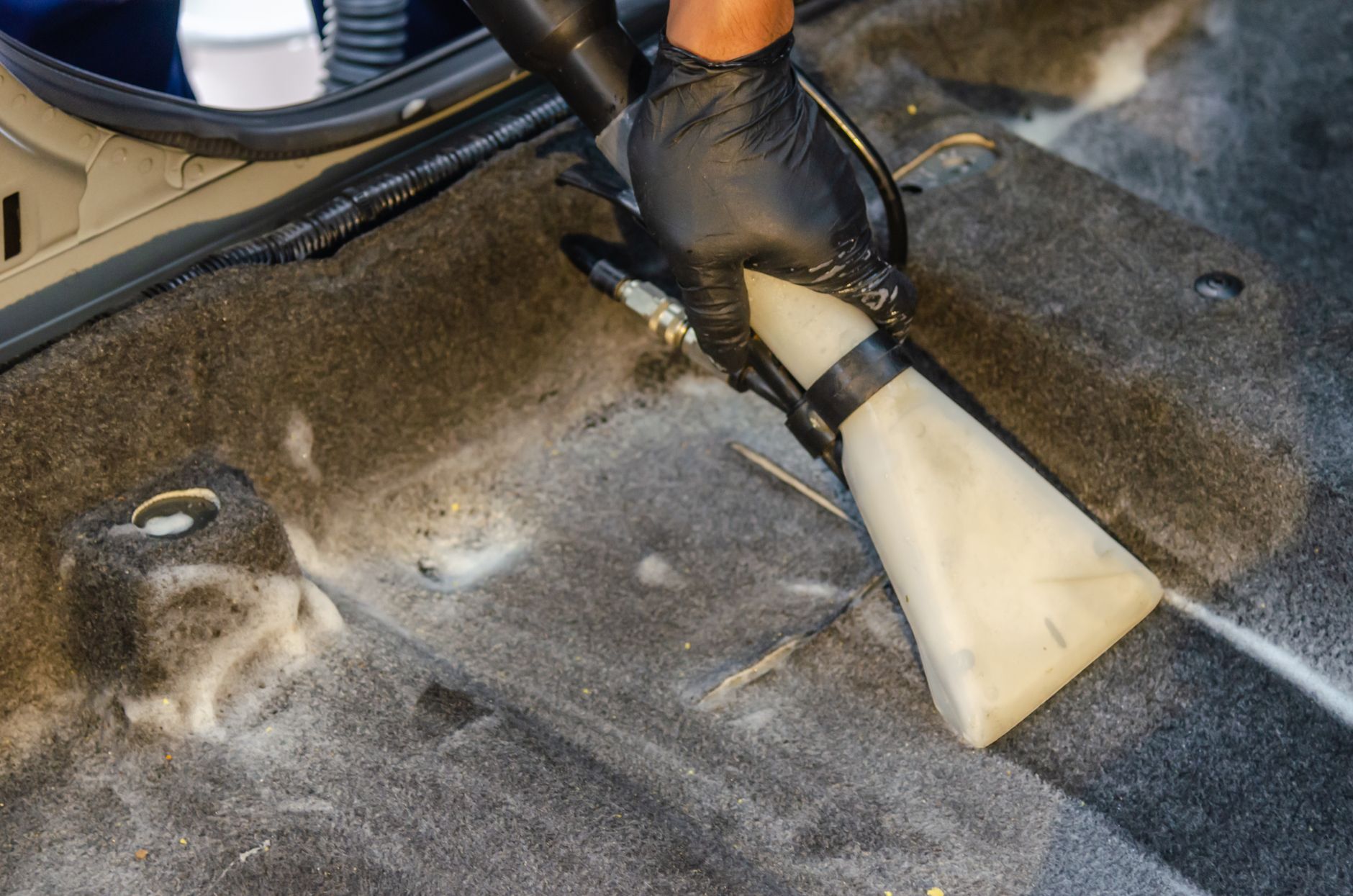 Expert Carpet Cleaning Services in Munich: Your Guide to a Spotless Home